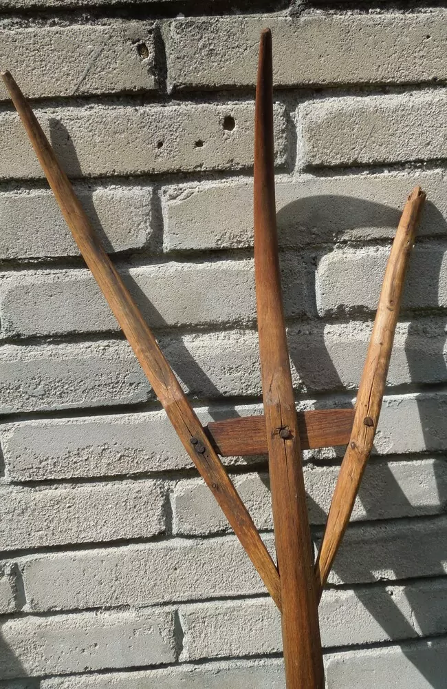 TROJZUBEC, VIDLE STAROŽITNOST
