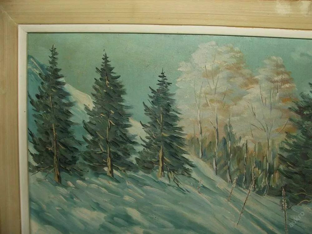 OBRAZ ZIMNÍ KRAJINA - U VODY SIG....