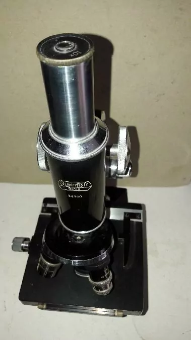 Steindorff & Co, Berlin Microscope, Mikroskop