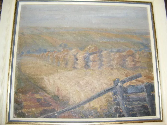 OBRAZ KRAJINA SNOPY