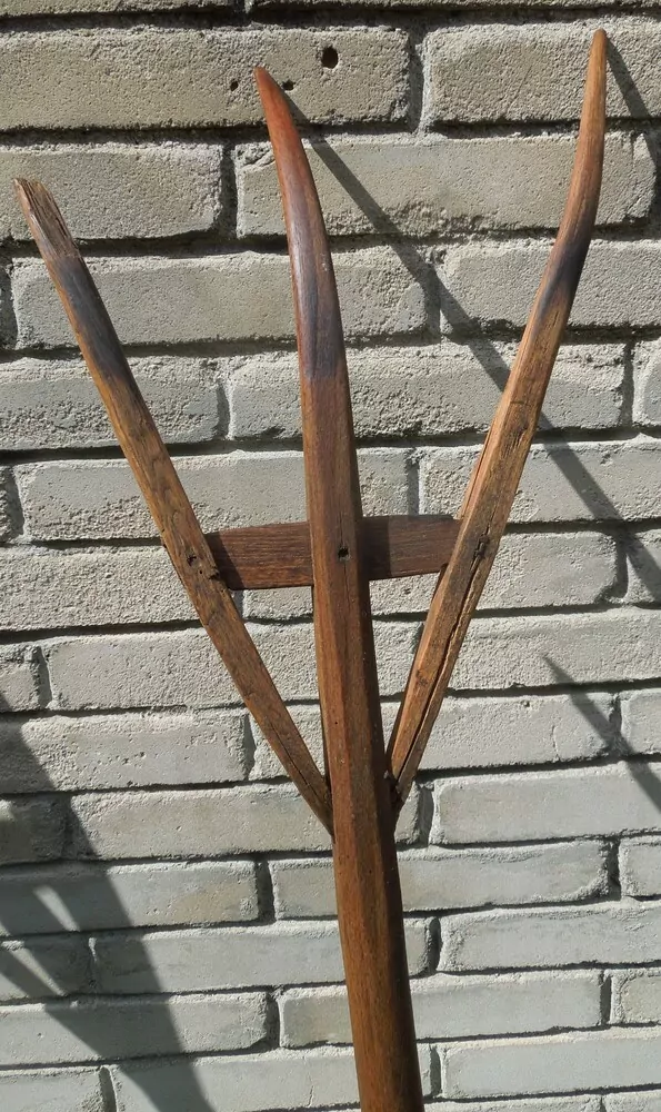 TROJZUBEC, VIDLE STAROŽITNOST