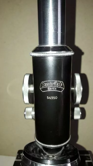 Steindorff & Co, Berlin Microscope, Mikroskop
