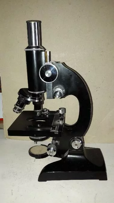 Steindorff & Co, Berlin Microscope, Mikroskop