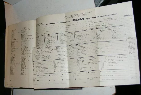 O LIDSKÉ KONSTITUCI 1939 ZAČÁTKY BYOTOPOLOGIE OBLAST LÉKAŘSTVÍ