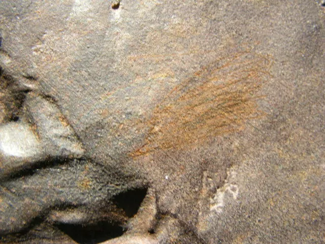 PLAKETA UPRKA CCA 60X17 CM