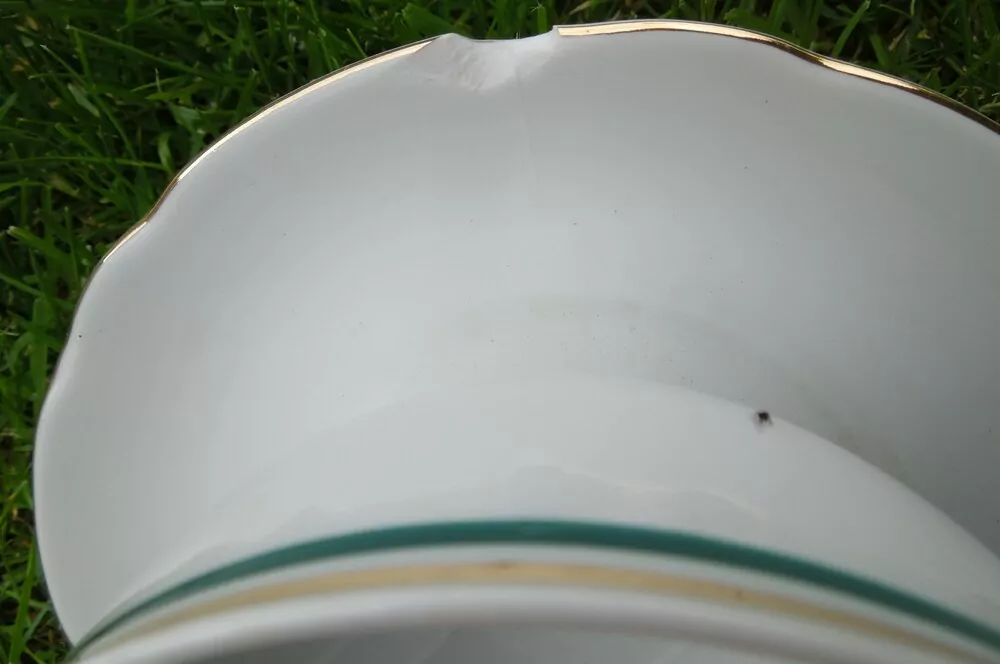 JÍDELNÍ PORCELÁNOVÁ SOUPRAVA